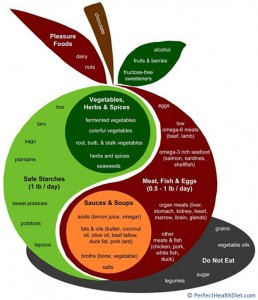 Food Plate